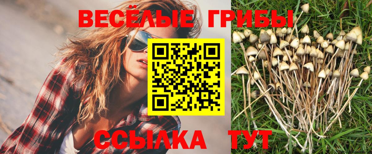 Псилоцибиновые грибы ЛСД  Вход с VPN  Тула 