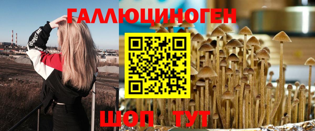 Псилоцибиновые грибы мицелий Тула